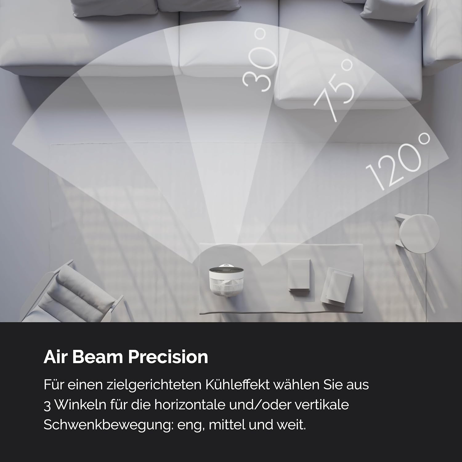 MEACO MeacoFan Stilvolle Tafelventilator - 10-inch luchtverplaatser met 12 snelheden - Horizontale en verticale oscillatie - 3 oscillatiegebieden - Ultrastille, op afstand bediende koeling, Zwart