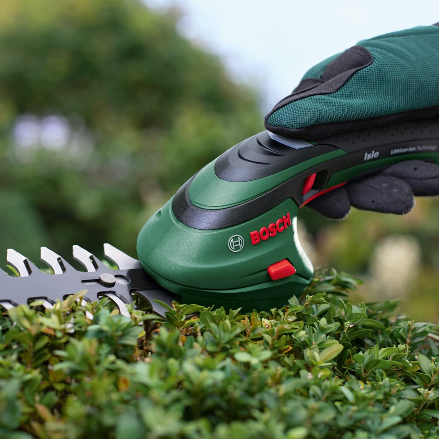 Bosch accugrasscharenset Isio (3,6 volt, meslengte 12 cm, mesafstand 8 mm, inclusief XL-tuinhandschoenen, in softcase) – Amazon Edition