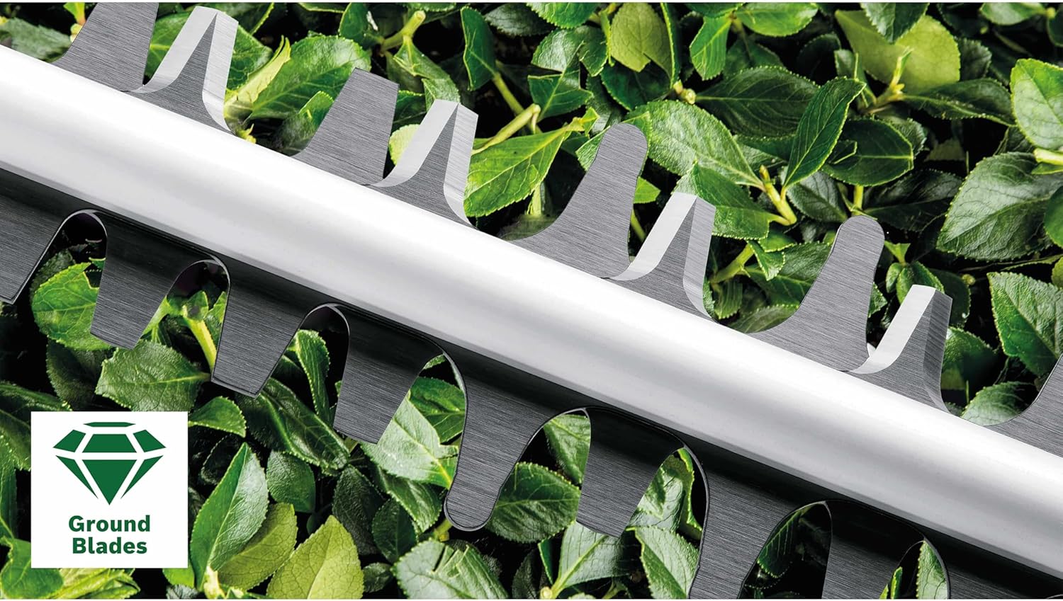 Bosch heggenschaar AdvancedHedgeCut 65 (500 watt, bladlengte: 65 cm, voor grote heggen, bladafstand: 34 mm, in doos)