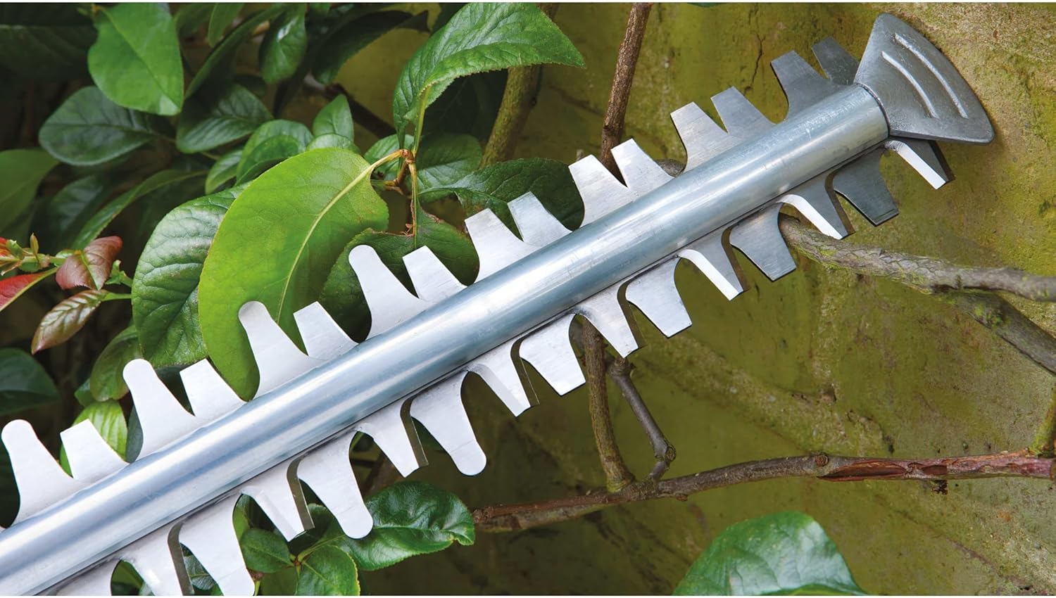 Bosch heggenschaar AdvancedHedgeCut 65 (500 watt, bladlengte: 65 cm, voor grote heggen, bladafstand: 34 mm, in doos)