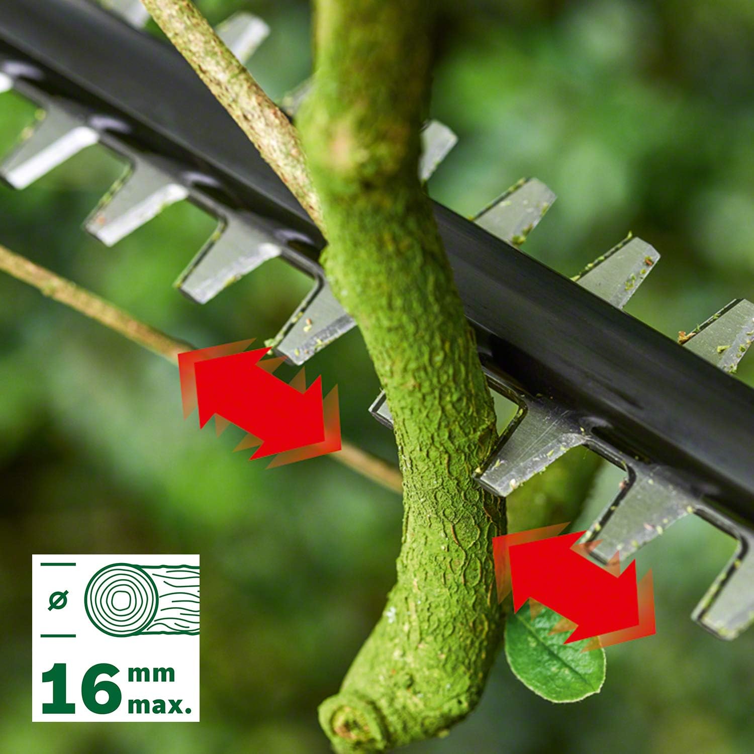 Bosch Accu Telescopische Heggenschaar UniversalHedgePole 18 (1 accu, 2,5 Ah, 18 volt systeem, in doos)